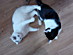 View full size picture
