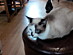View full size picture