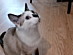 View full size picture