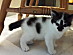 View full size picture