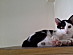 View full size picture