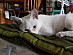 View full size picture
