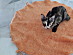 View full size picture