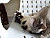 View full size picture