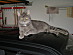 View full size picture