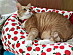 View full size picture