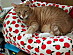 View full size picture