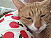 View full size picture