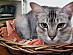 View full size picture