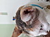 View full size picture