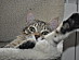 View full size picture