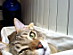 View full size picture