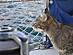 View full size picture