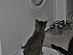 View full size picture