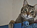View full size picture
