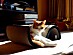 View full size picture