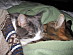 View full size picture