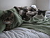 View full size picture