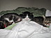 View full size picture