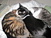 View full size picture
