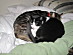 View full size picture