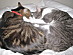 View full size picture