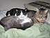 View full size picture