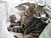 View full size picture