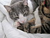 View full size picture