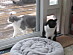 View full size picture