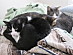 View full size picture