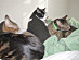 View full size picture