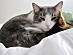 View full size picture
