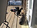 View full size picture