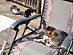 View full size picture