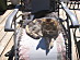 View full size picture