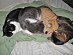 View full size picture