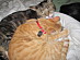 View full size picture