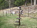 View full size picture