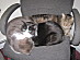 View full size picture