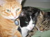 View full size picture