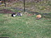 View full size picture