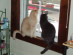 View full size picture