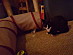View full size picture