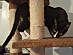 View full size picture