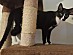 View full size picture
