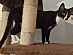 View full size picture