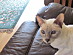 View full size picture