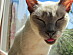 View full size picture