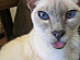 View full size picture
